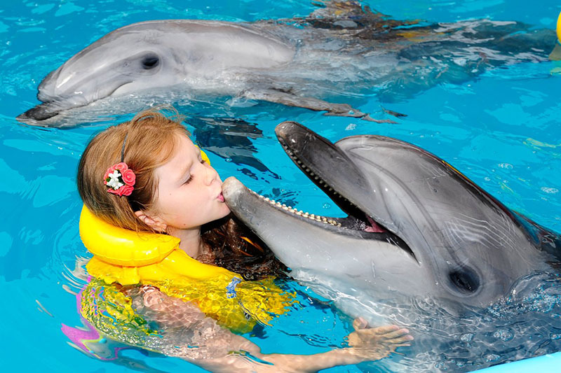 Карадагский дельфинарий закрывается до мая 2021